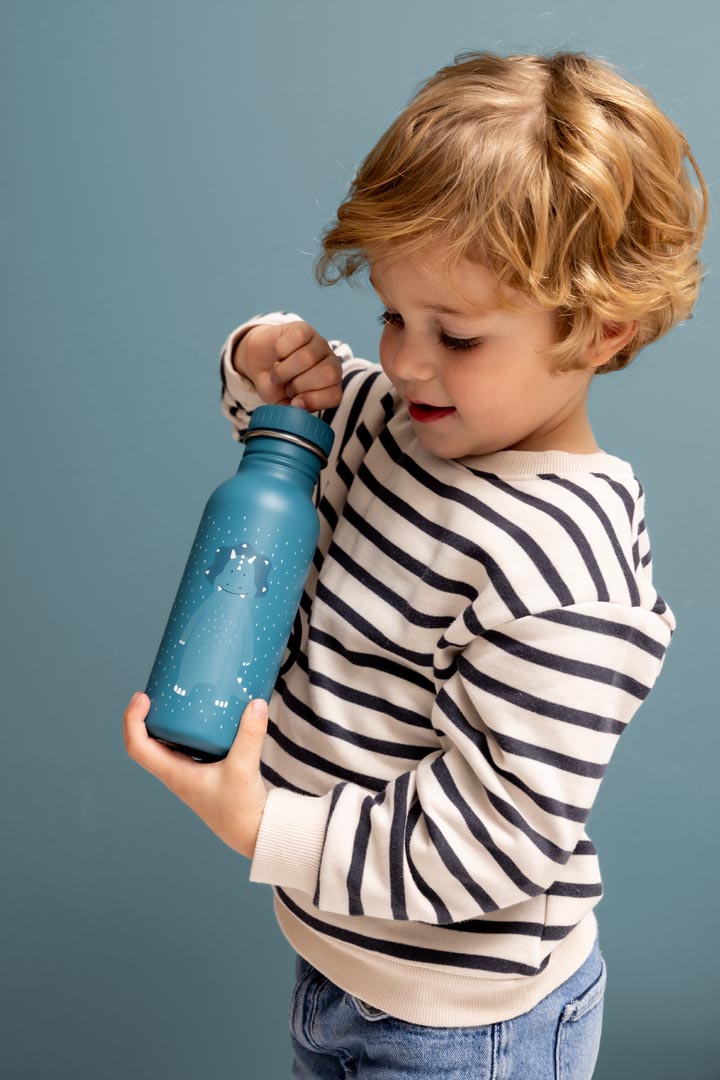Trinkflasche 350ml - Mr. Triceratops